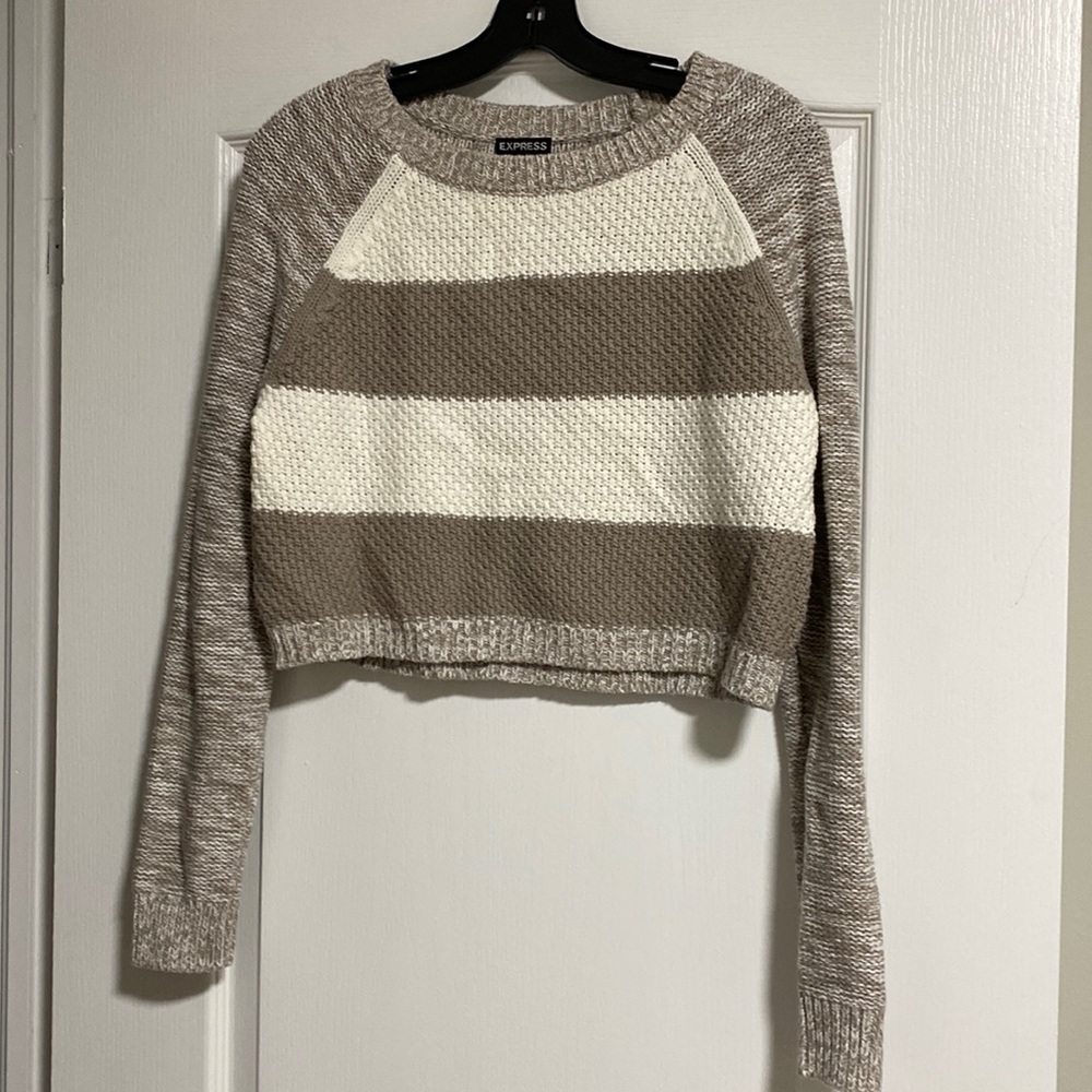 Express cropped sweater